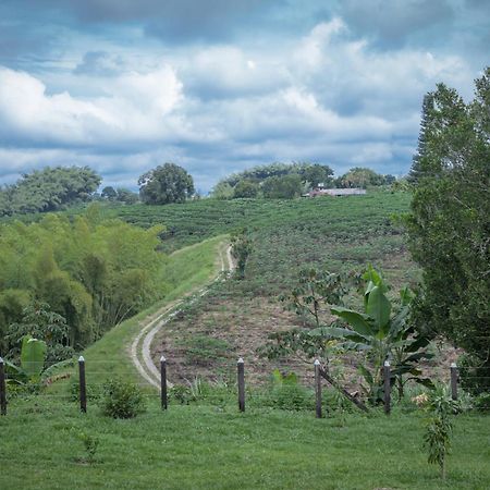Finca Hotel Heron 金巴亚 外观 照片