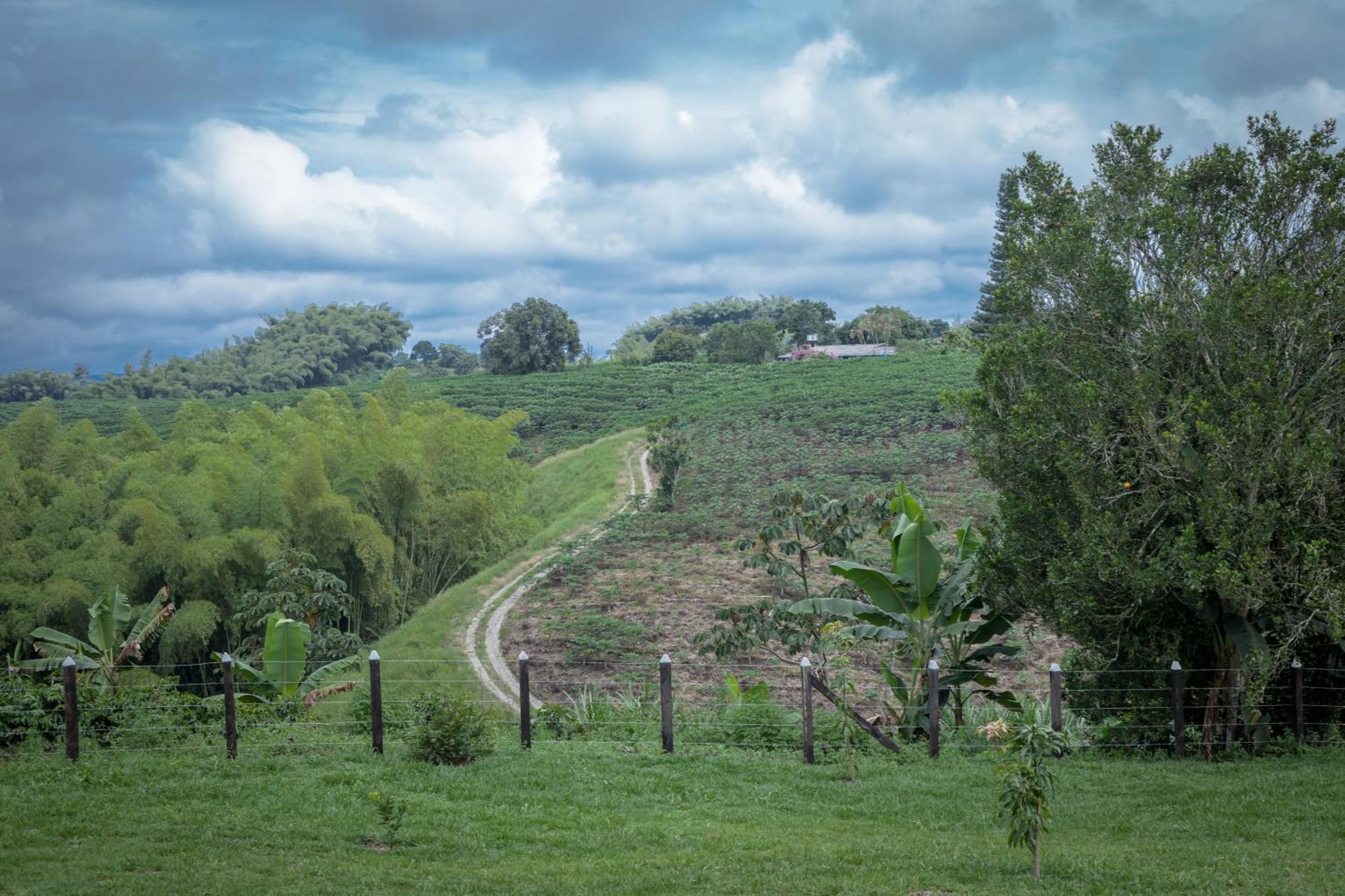 Finca Hotel Heron 金巴亚 外观 照片
